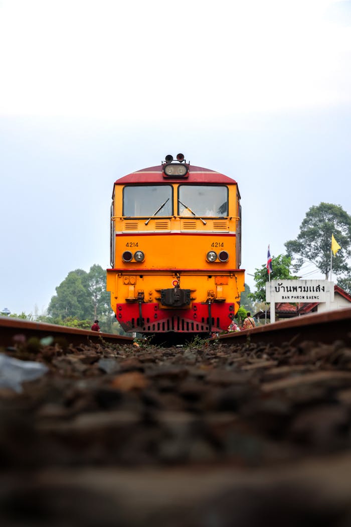 pexels photo 32259208.jpeg